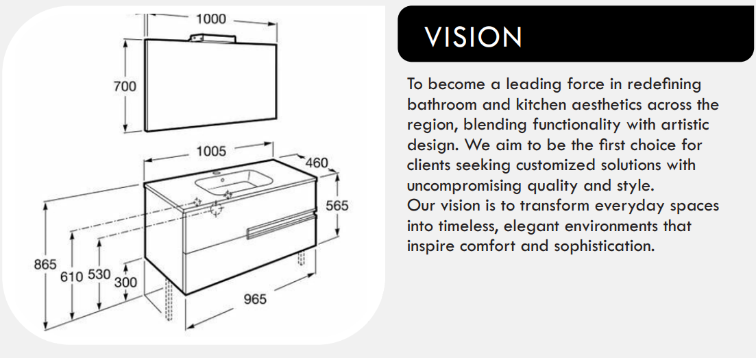 Laveso Vision 